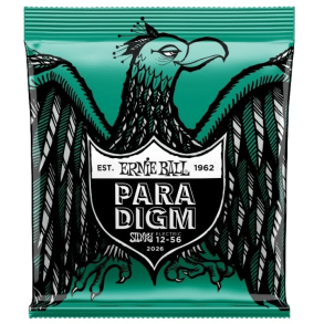 Ernie Ball 2026 Paradigm Not Even Slinky